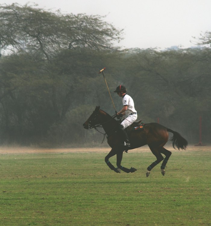 A polo player galloping through dust on a dark pony