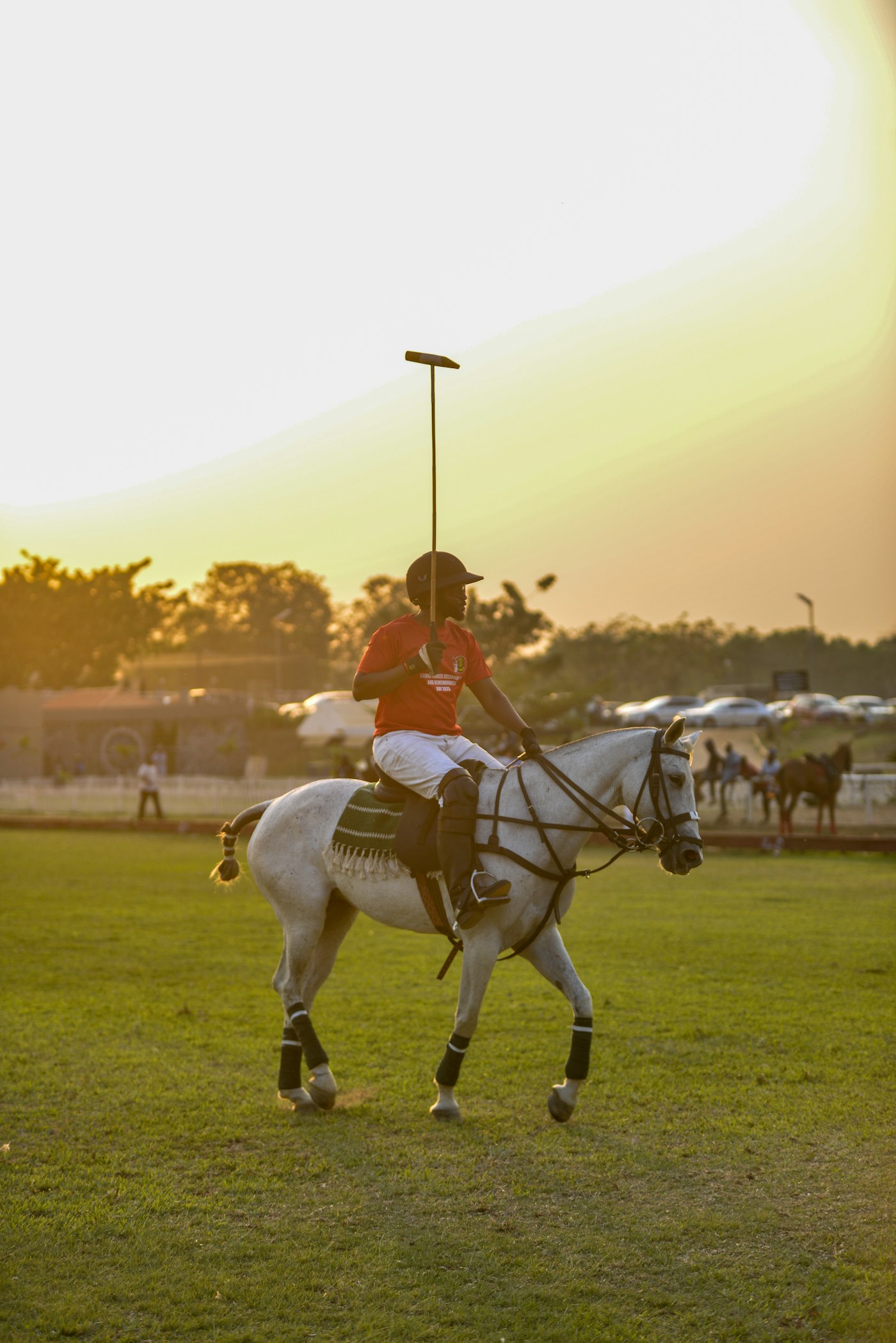 A polo player on a grey pony in evening light