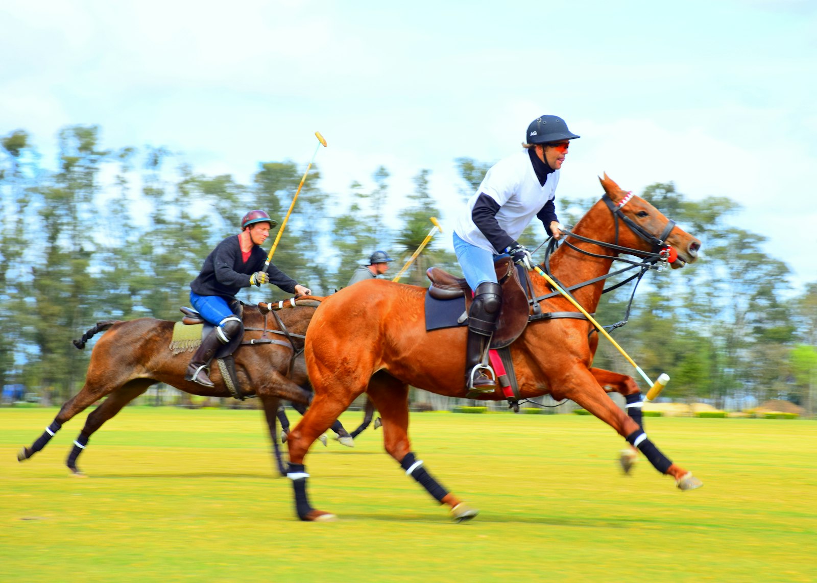 Two polo players galloping after the ball on a green field