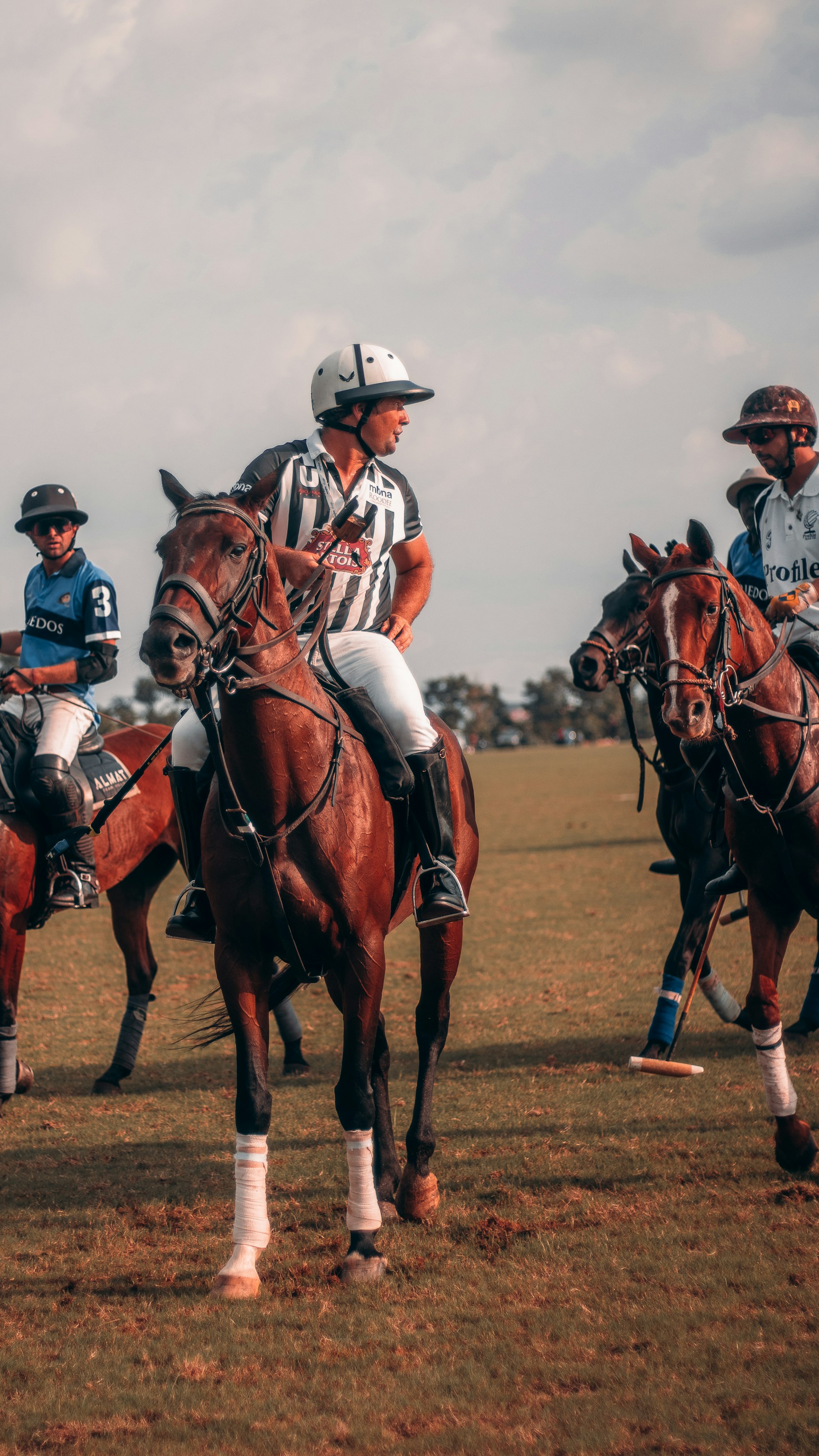 Polo players and ponies lined up close together during a match