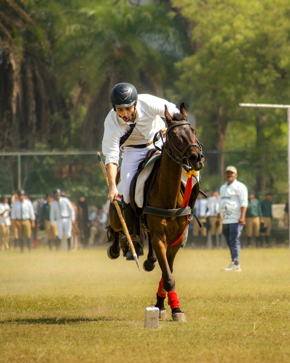 A player swinging a mallet beside his pony